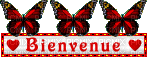 Gif animé bienvenue papillons